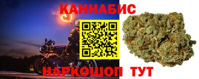 гидра Кандалакша
