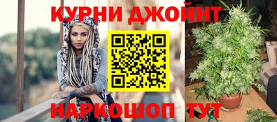 прущие грибы Канаш