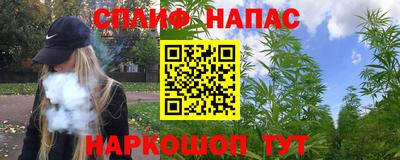 гидра Кандалакша