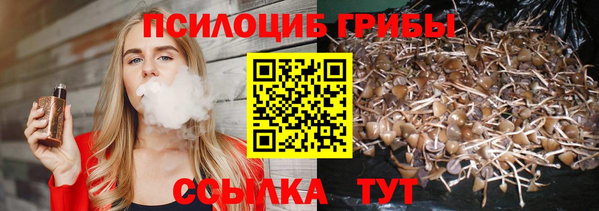 Кызыл  Псилоцибиновые грибы мицелий  Вход с VPN  Галлюциногенные грибы мухоморы 